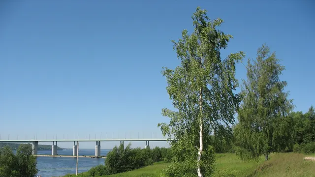 Кинешма — Новлянское